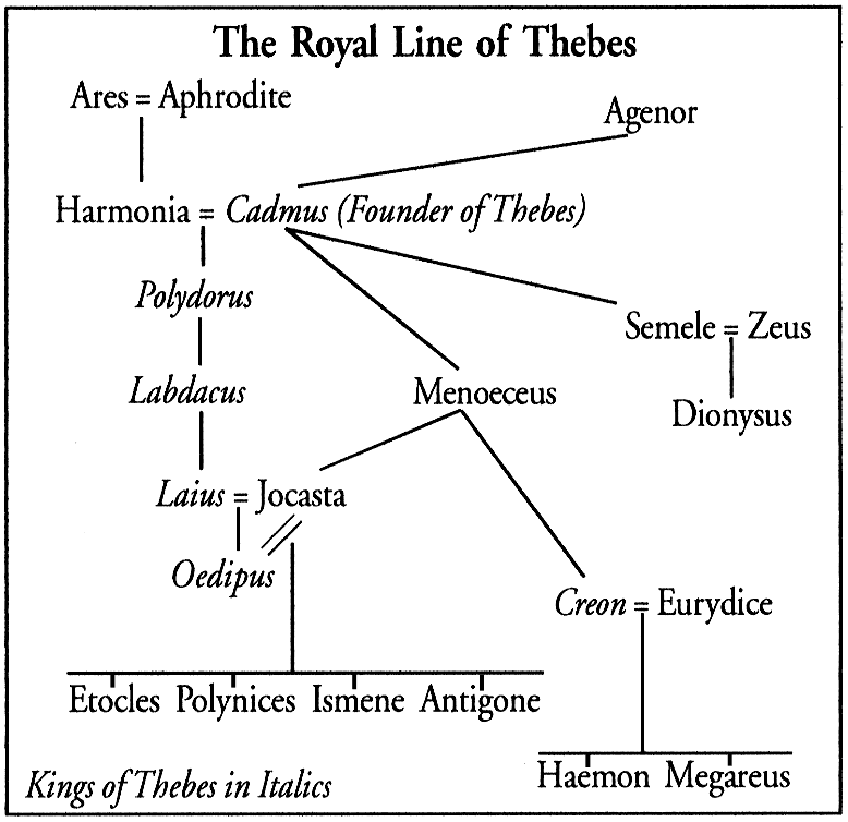 The human family tree worksheet